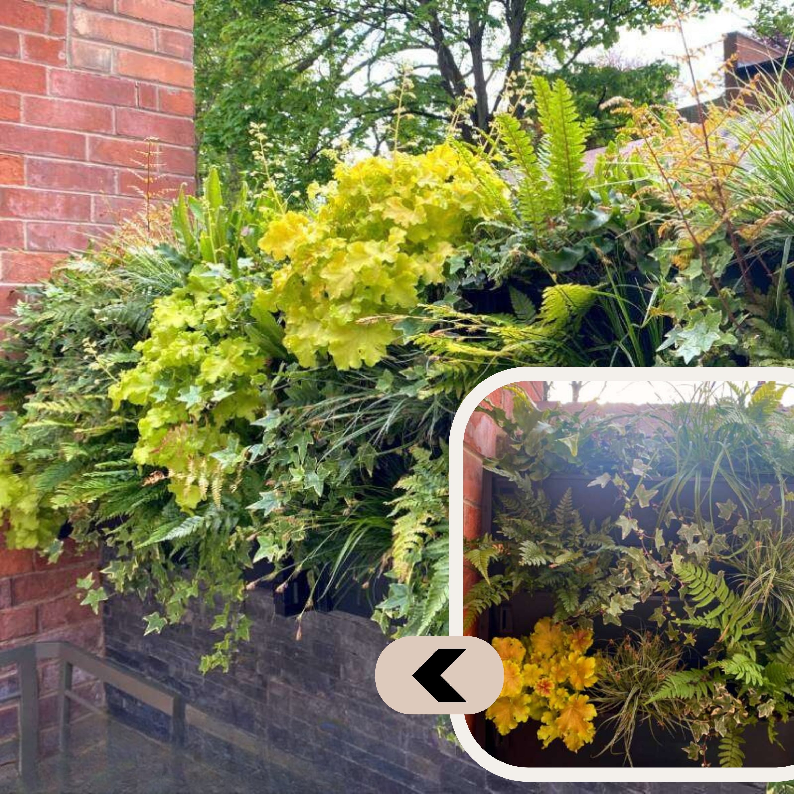 PlantBox - Lebende Wand 10 Module