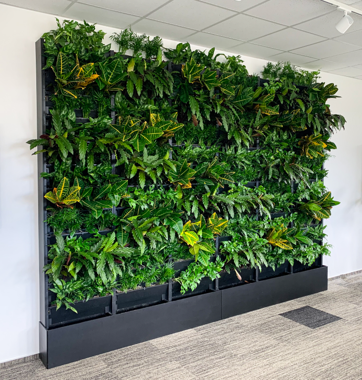 Jak instalovat plantbox