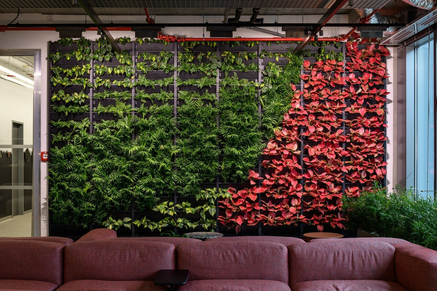 Chcete mít doma vertikální živou stěnu? PlantBox se o to postará