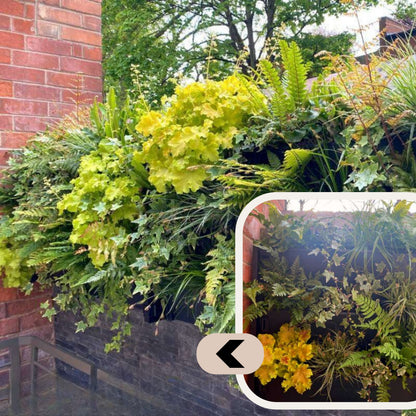 PlantBox - Lebende Wand 10 Module