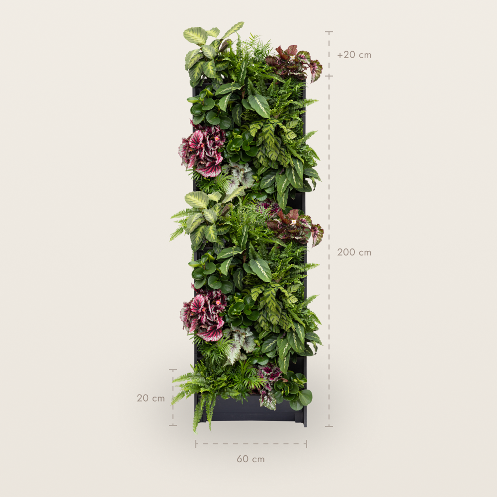 PlantBox installation