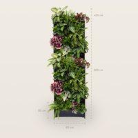 PlantBox