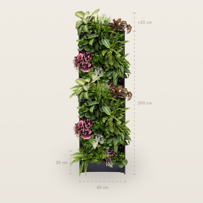 PlantBox - Lebende Wand 10 Module