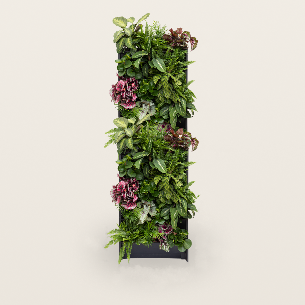 PlantBox - Lebende Wand 10 Module
