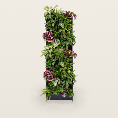 PlantBox - Lebende Wand 10 Module