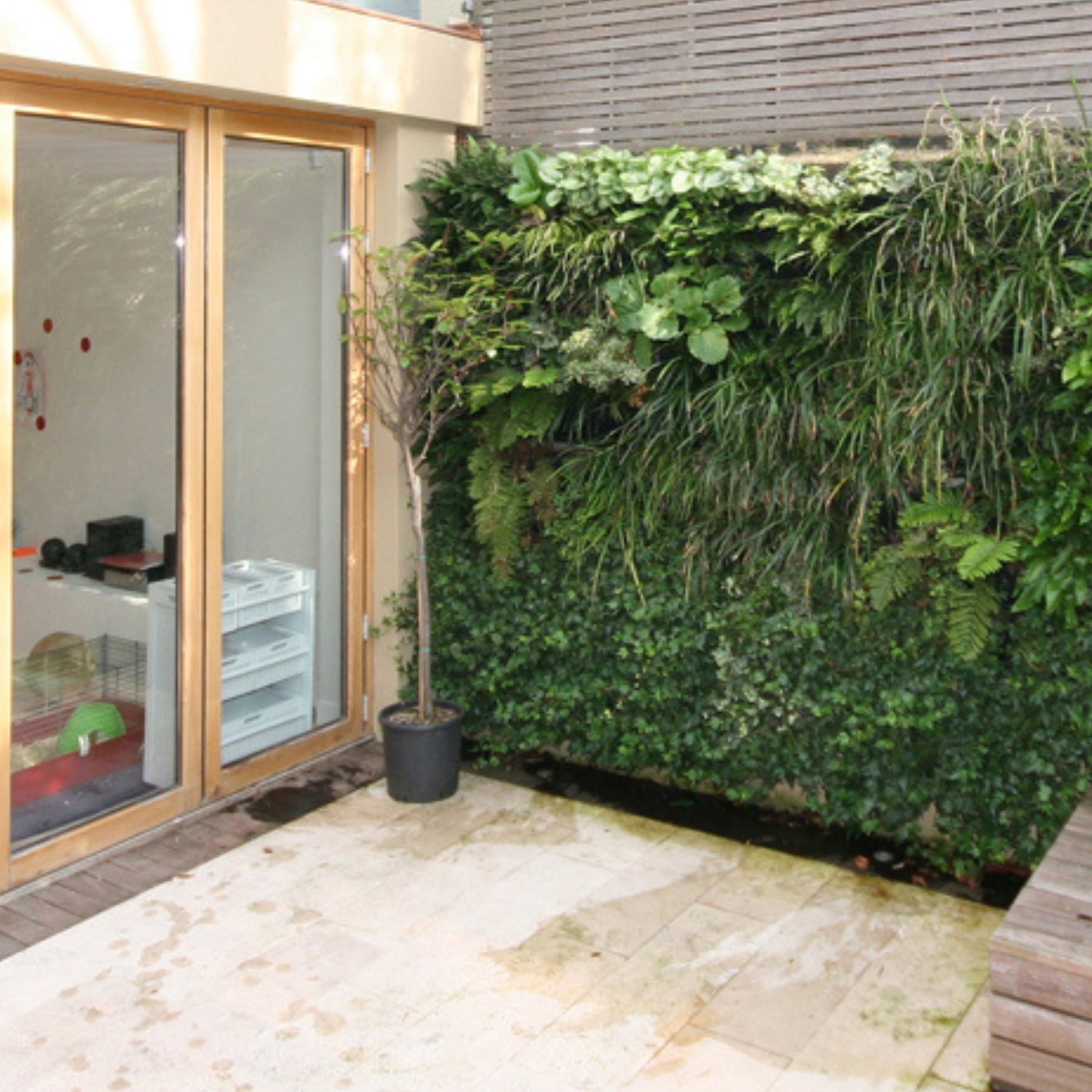 PlantBox - Lebende Wand 10 Module