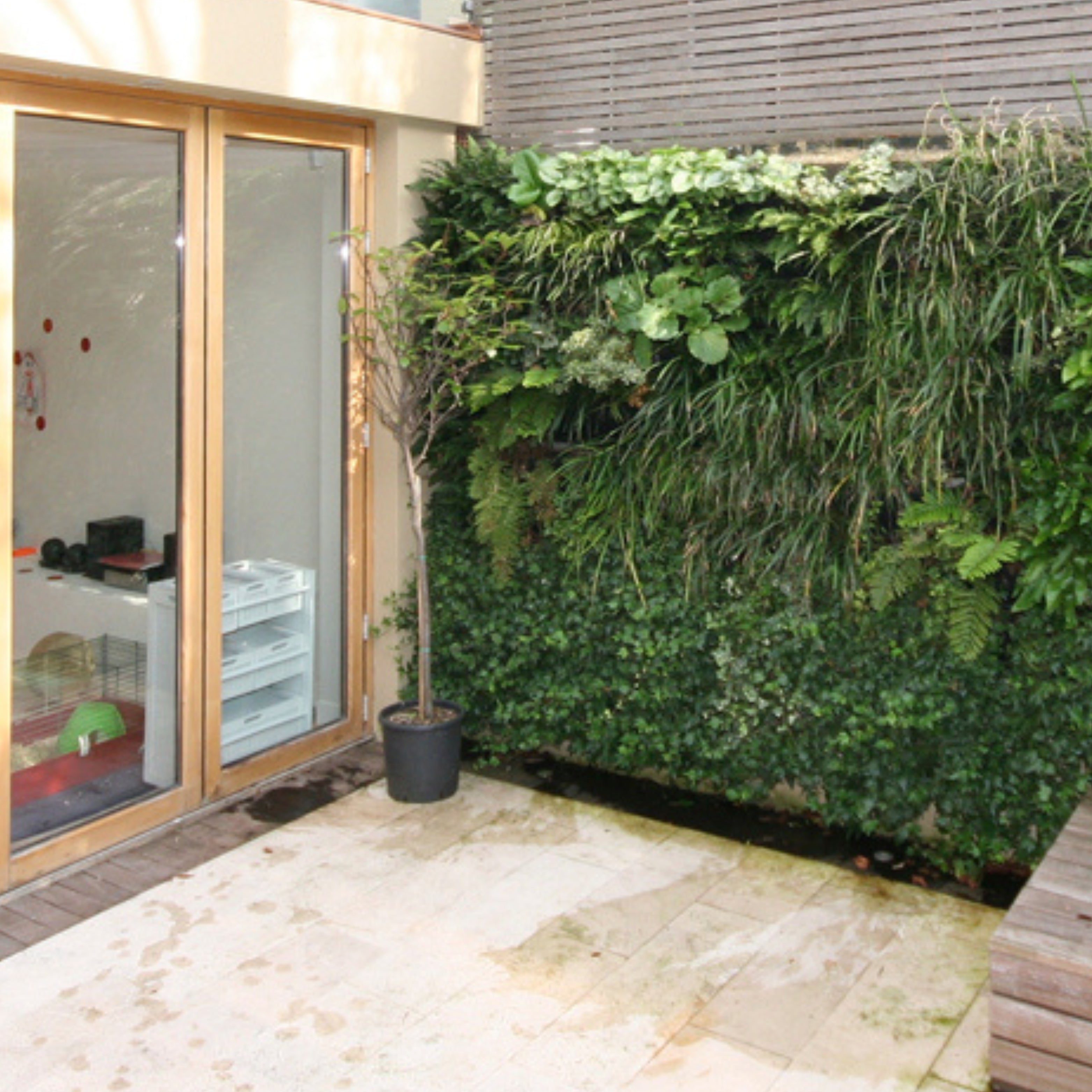 PlantBox - Lebende Wand 10 Module