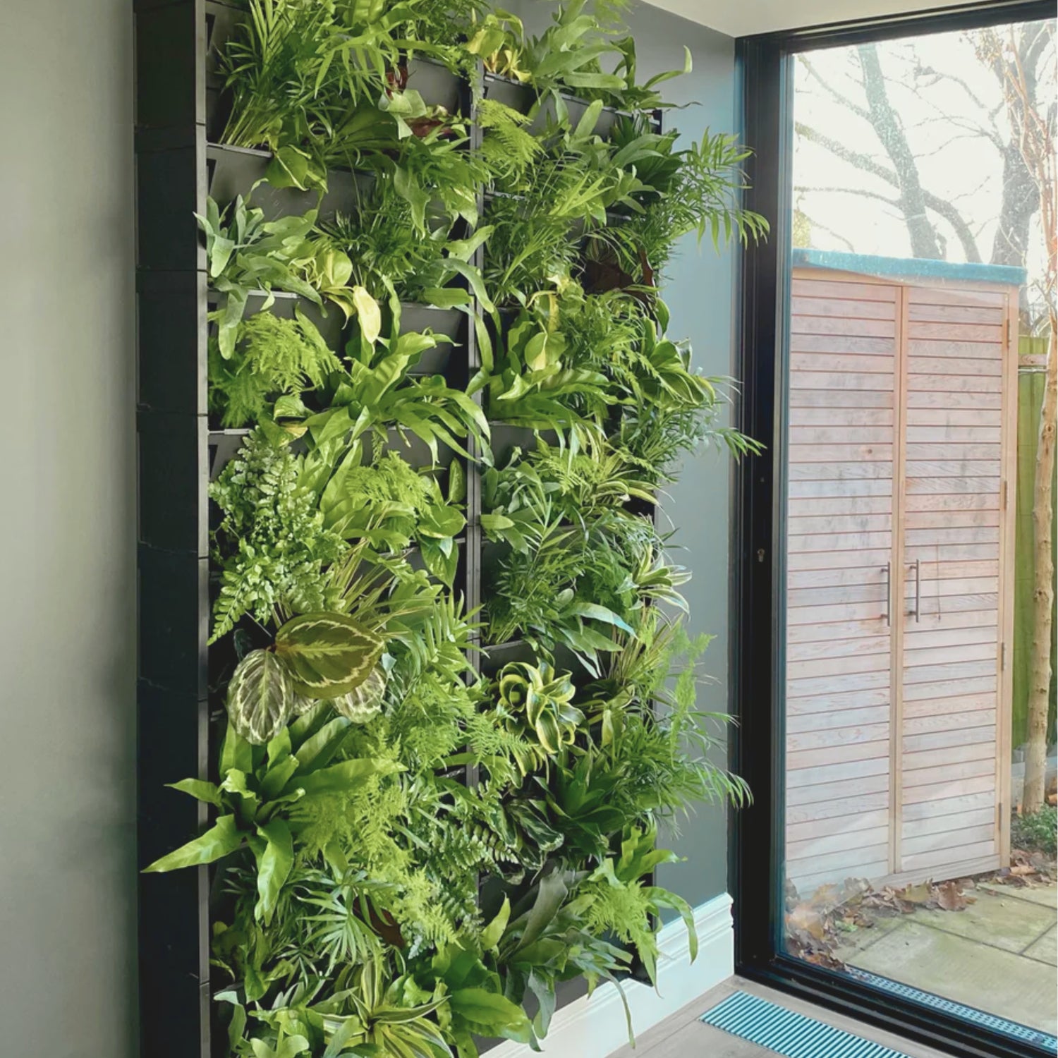 PlantBox - Lebende Wand 5 Module
