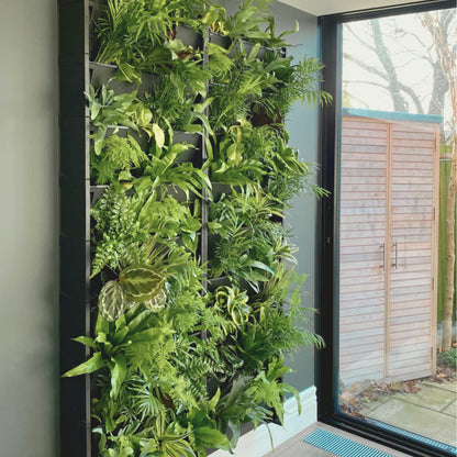 PlantBox - Lebende Wand 5 Module