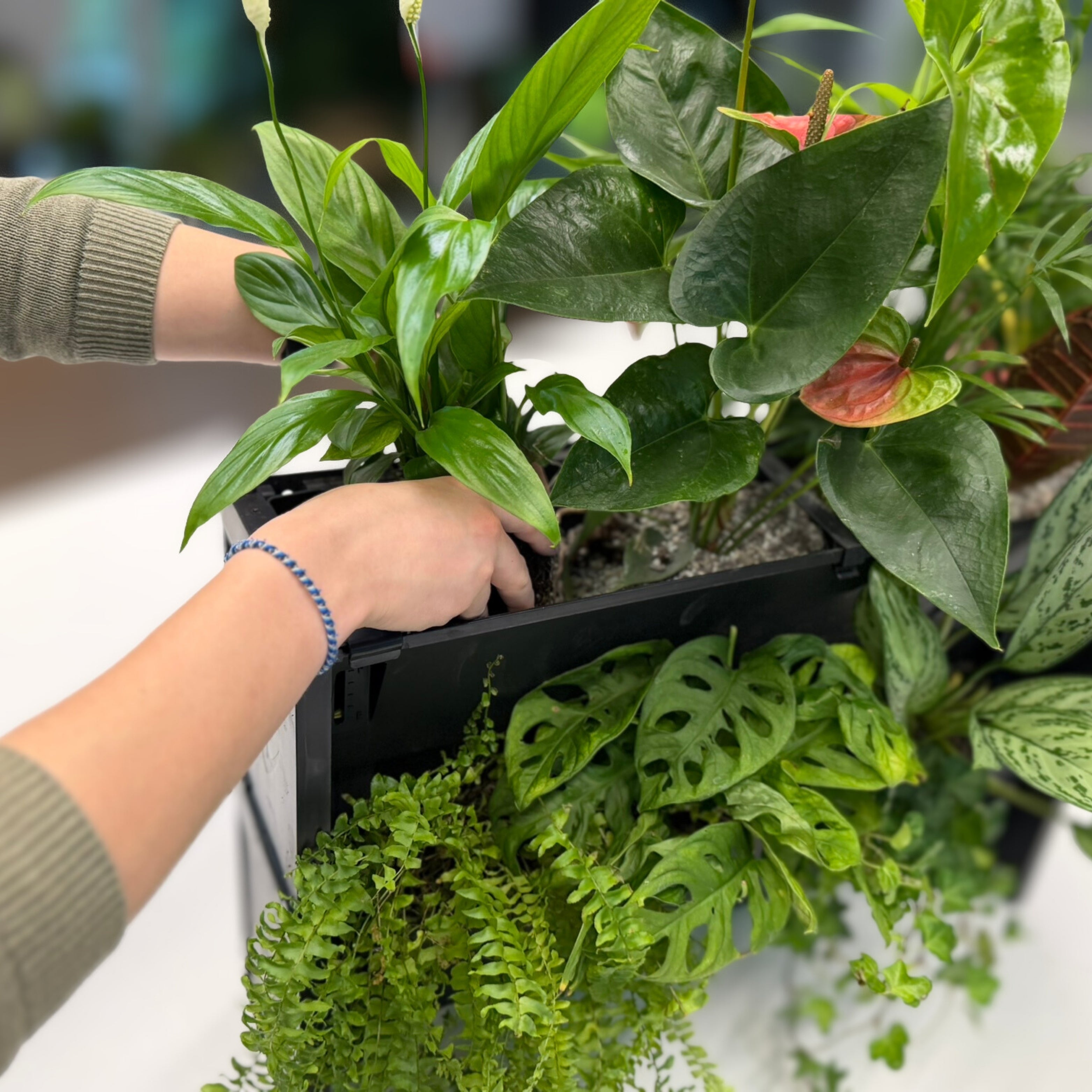 PlantBox - Vertikaler Garten 3 Module