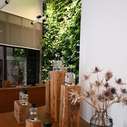 PlantBox - Lebende Wand 10 Module