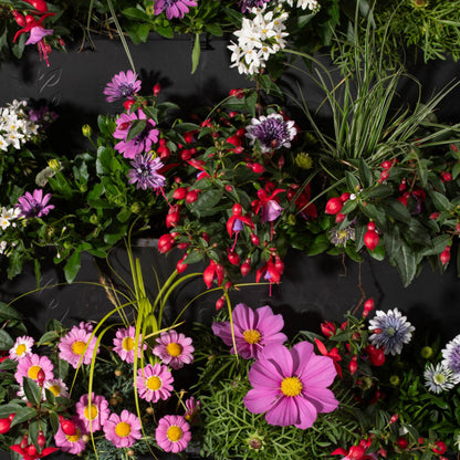 PlantBox - Vertikaler Garten 3 Module