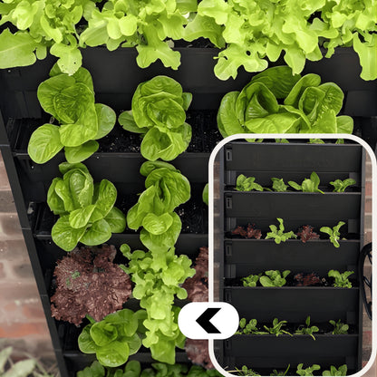 PlantBox - Lebende Wand 5 Module