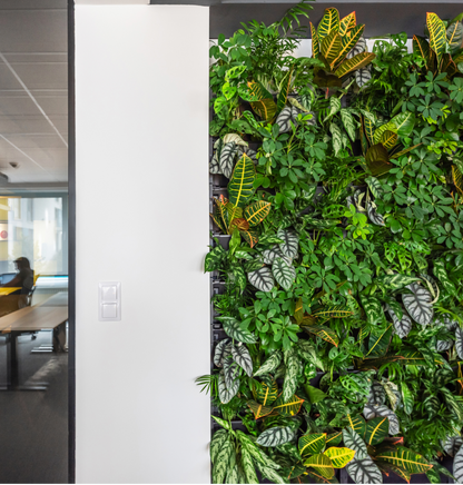 PlantBox – Vertikaler Garten | 1 Modul