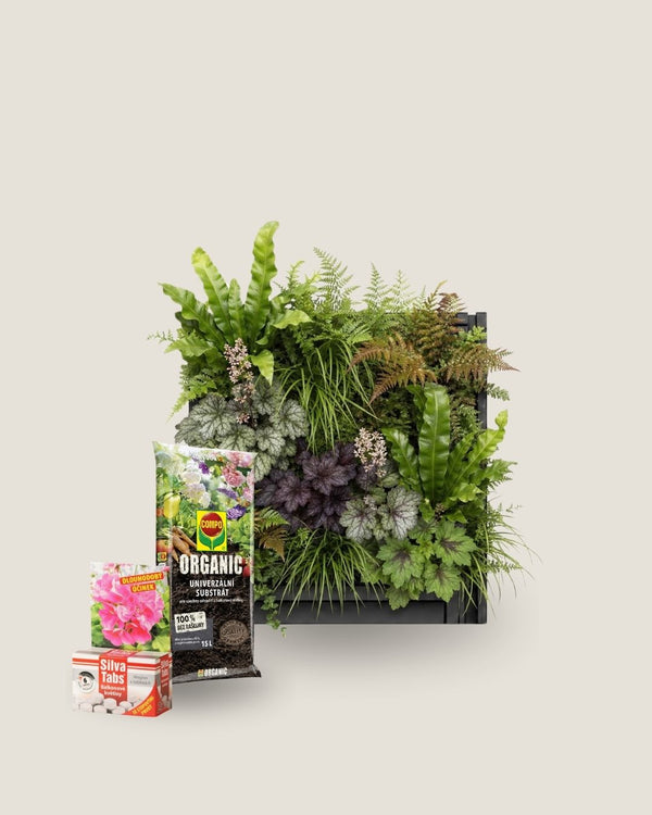 3er-Pack Plantbox + COMPO ORGANIC Universalsubstrat