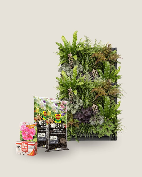 Paket 5x Plantbox + COMPO ORGANIC Universalsubstrat