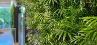PlantBox