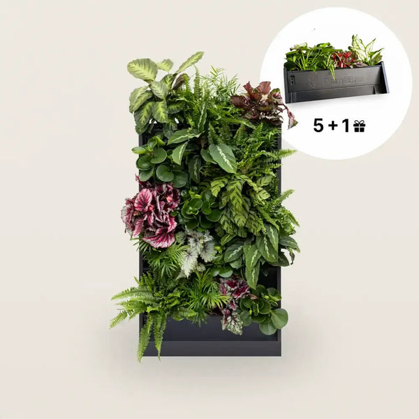 PlantBox – Vertikaler Garten | 5 Module