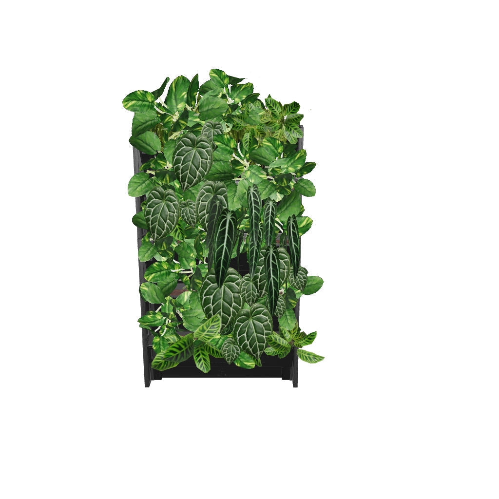 PlantBox - Lebende Wand 5 Module