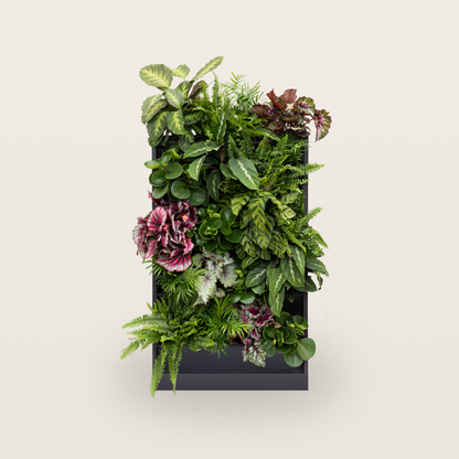 PlantBox - Lebende Wand 5 Module