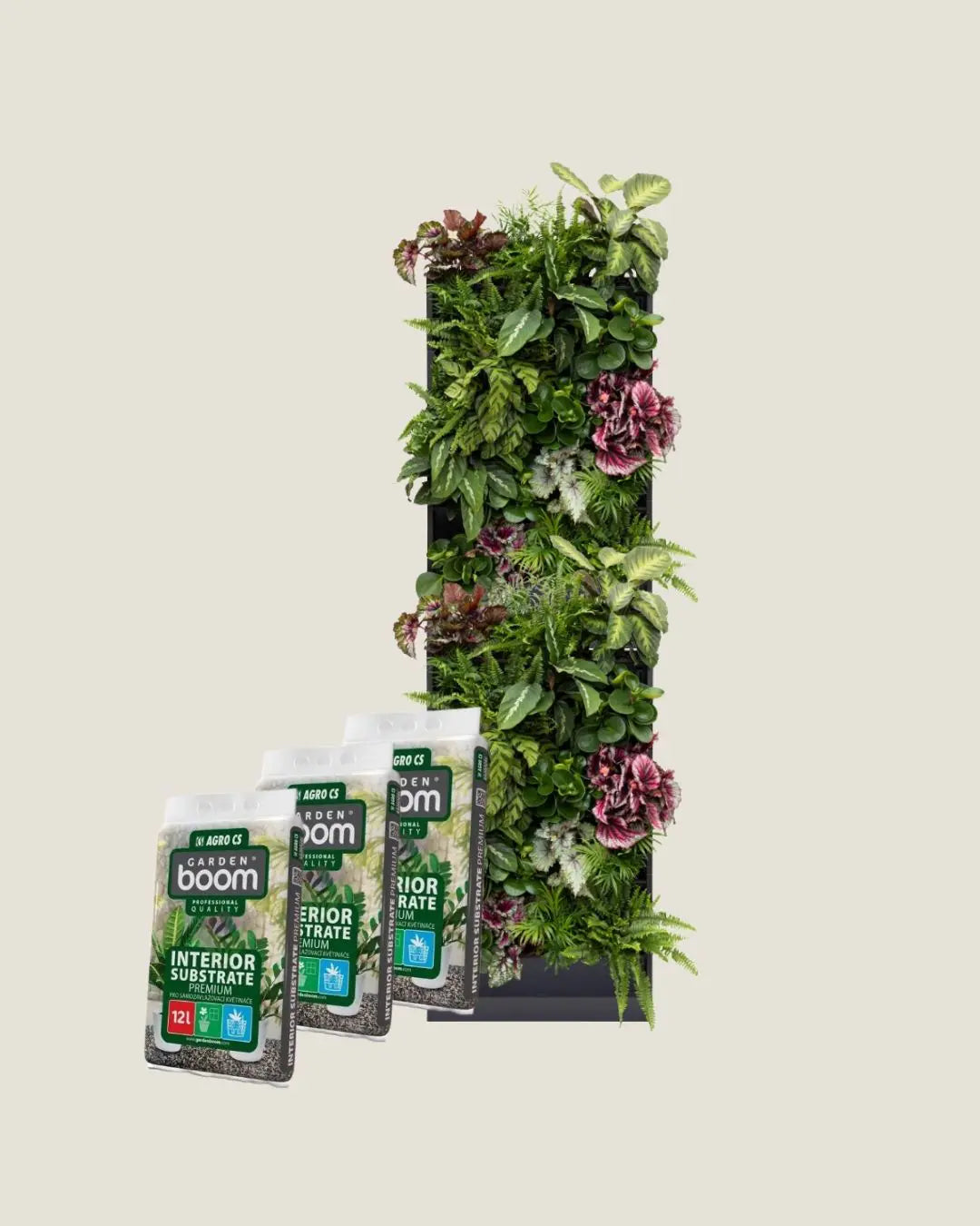 10x Plantbox + Zimmerpflanzenerde-Set