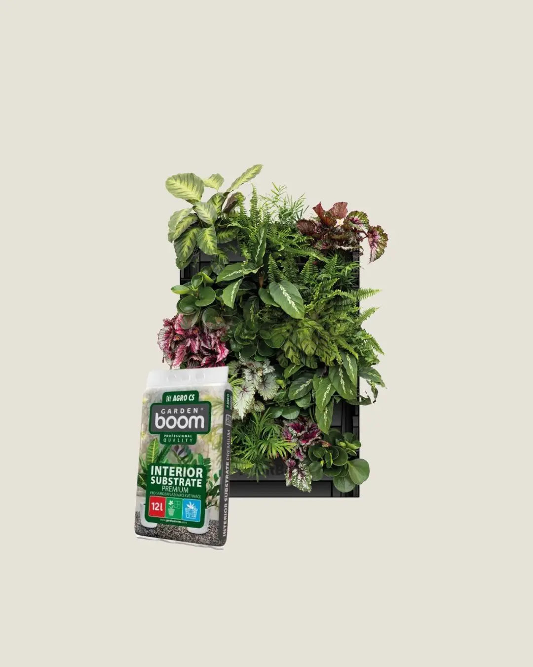 3er-Pack Plantbox + Zimmerpflanzenerde