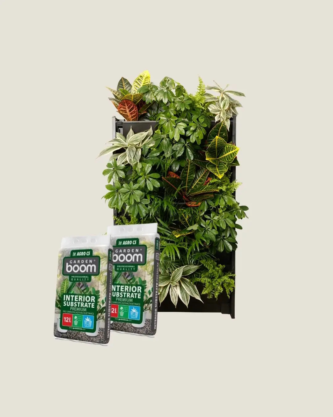 5er-Pack Pflanzgefäße + Innenerde