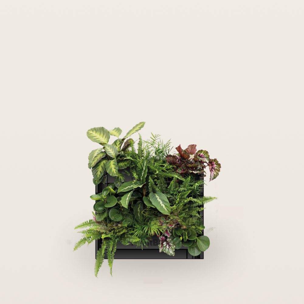 PlantBox - Vertikaler Garten 3 Module