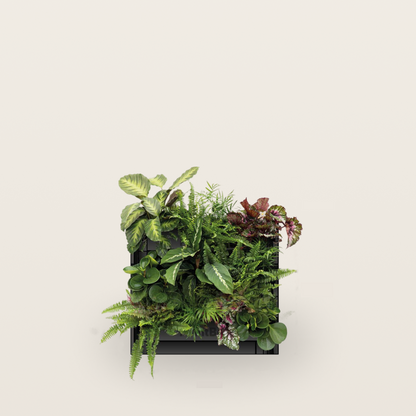 PlantBox - Vertikaler Garten 3 Module
